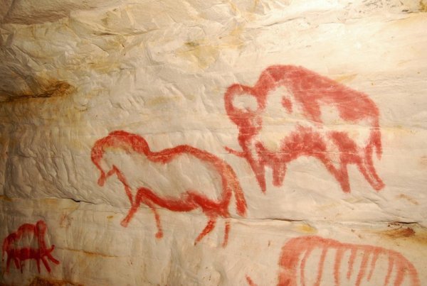 Шульган Таш наскальные