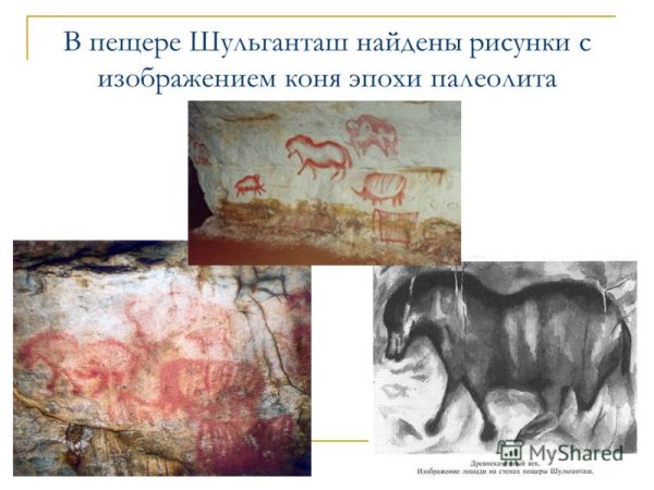 Наскальные рисунки Шульган Таш