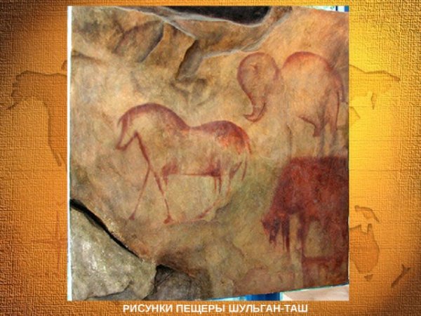 Каповой пещеры (Шульган-Таш)