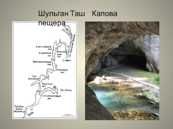 Капова пещера бортничество