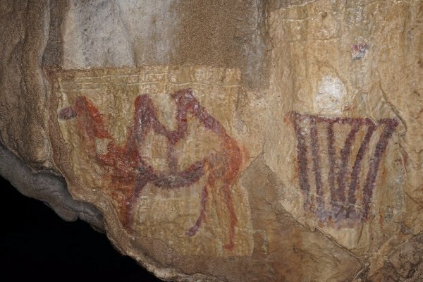 Наскальные рисунки Шульган Таш