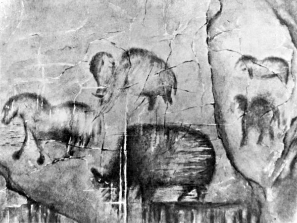 Наскальная живопись в пещере Шульган Таш