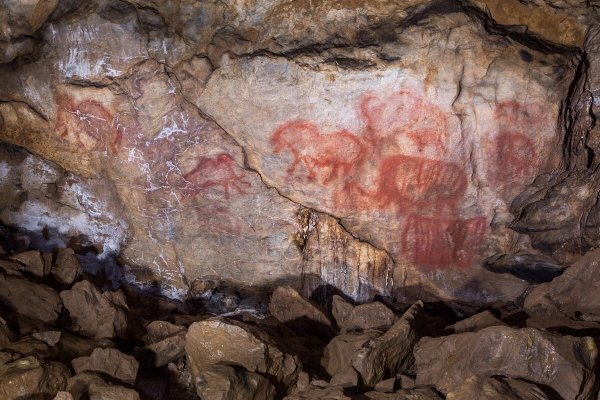 Шульган Таш верблюд