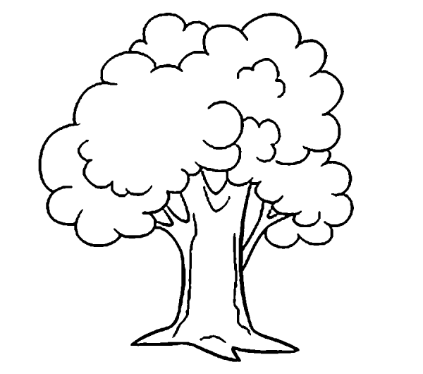 Дерево раскраска