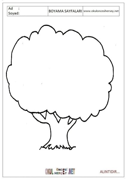 Раскраска дерево клен