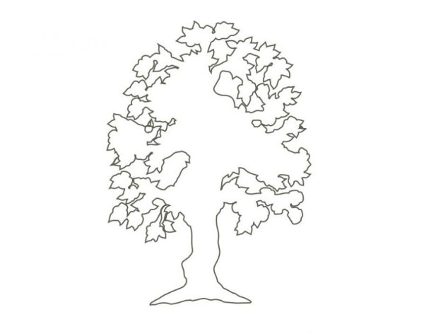 Макет дерева с корнями