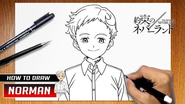 Нарисовать Нормана