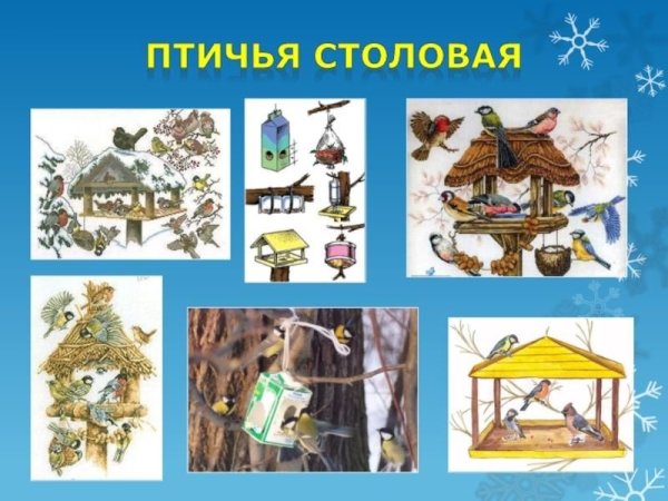 Презентация Птичья столовая