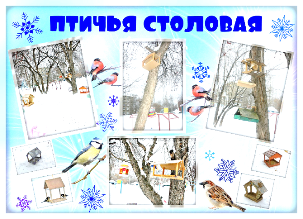 Птичья столовая