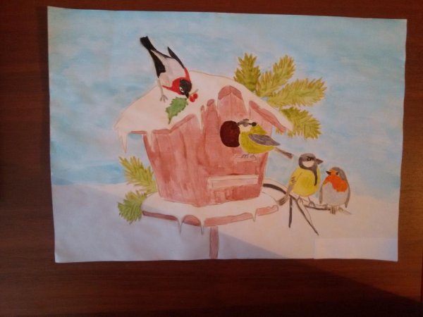 Зимняя столовая для птиц