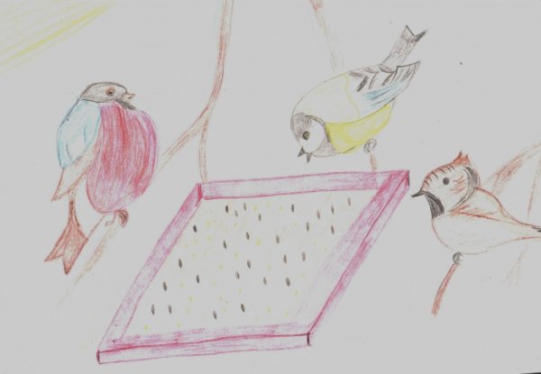 Птичья столовая рисунок