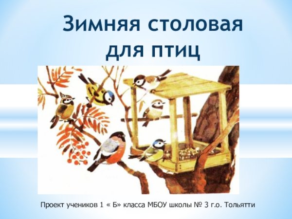 Птичья столовая кормушка