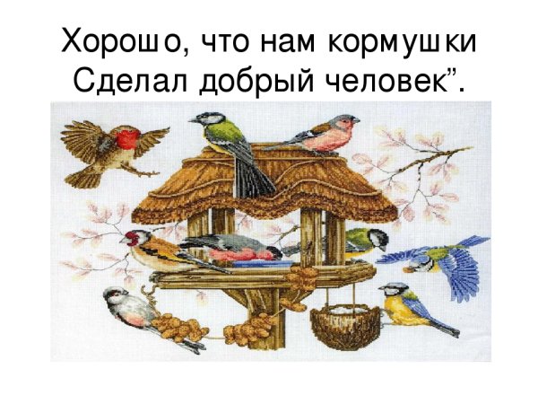 Зимние птицы для детей