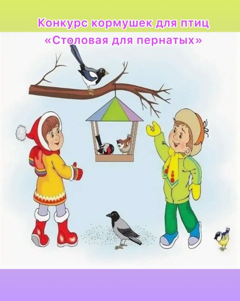 Птичья столовая рисунок