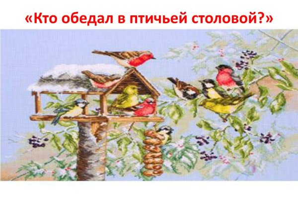 Экологическая акция Птичья столовая