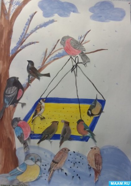 Зимующие птицы на кормушке