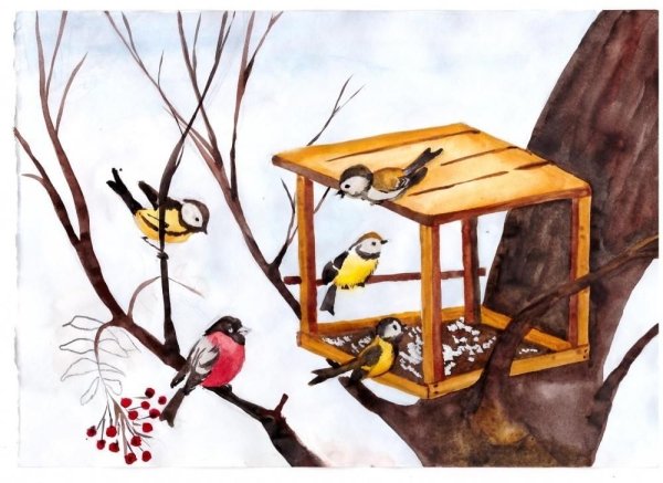 Зимующие птицы у кормушки рисунок