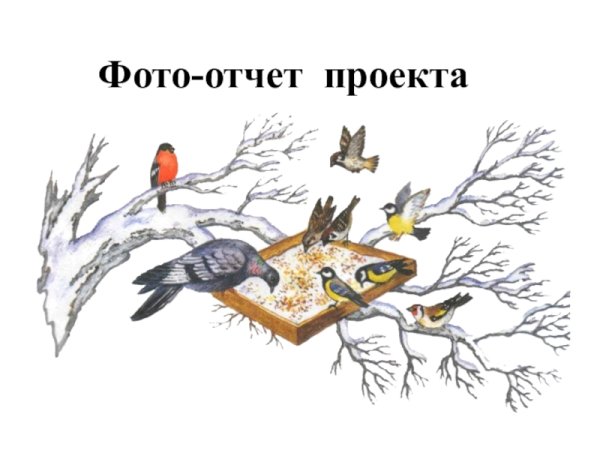 Птичья столовая