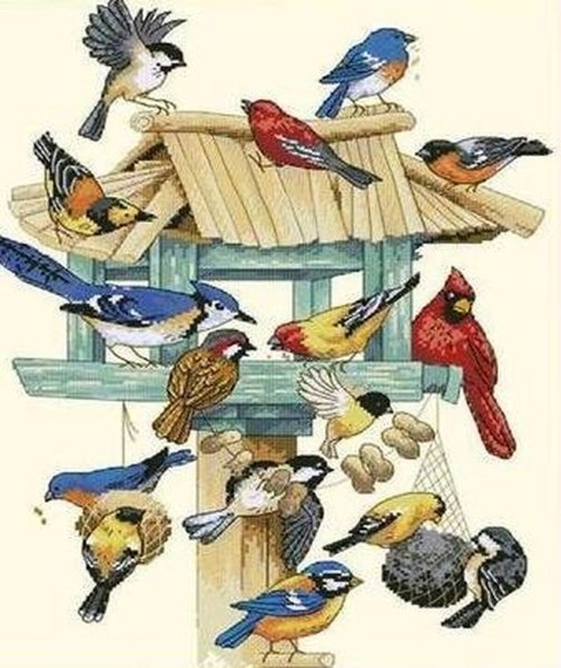 Забота о птицах зимой