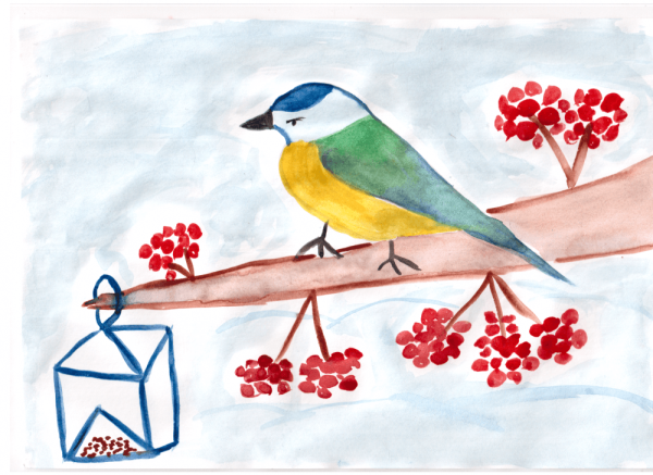 Кормушки для птиц зимой