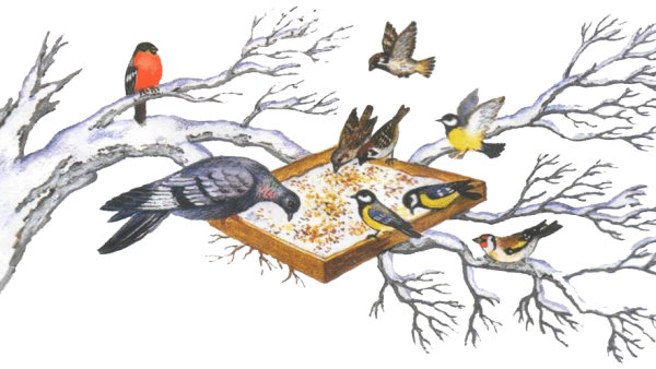 Рамка птицы на кормушке