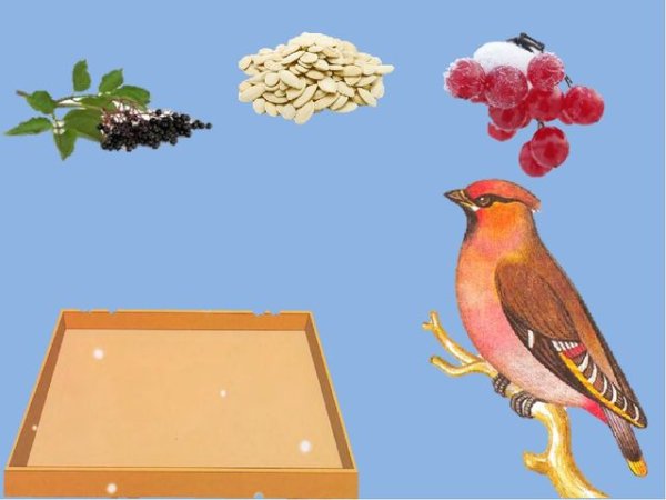 Вышивка кормушка для птиц