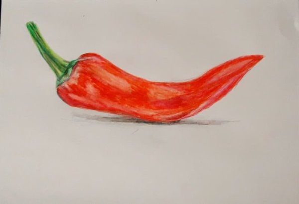 Зарисовки красных перцев