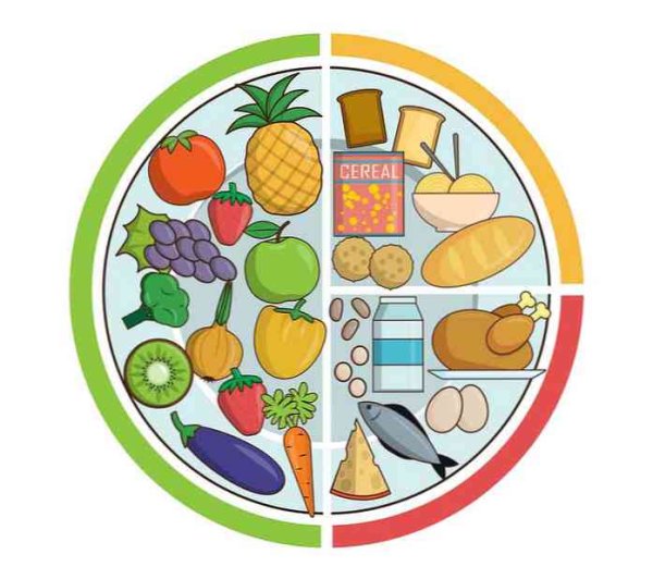Тарелка здорового питания вектор