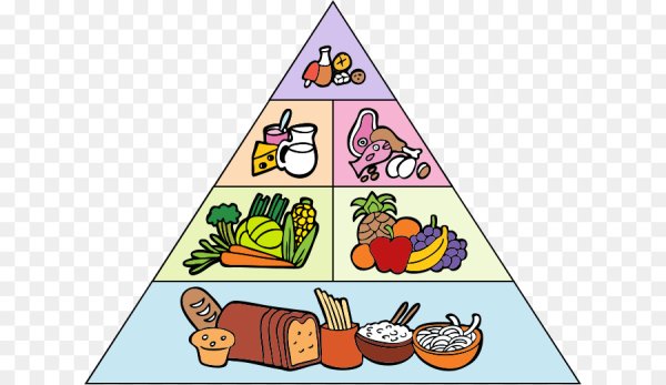 Пирамида здорового питания рисунок