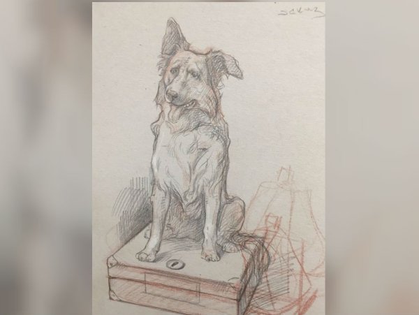 Памятник преданности рисунок карандашом