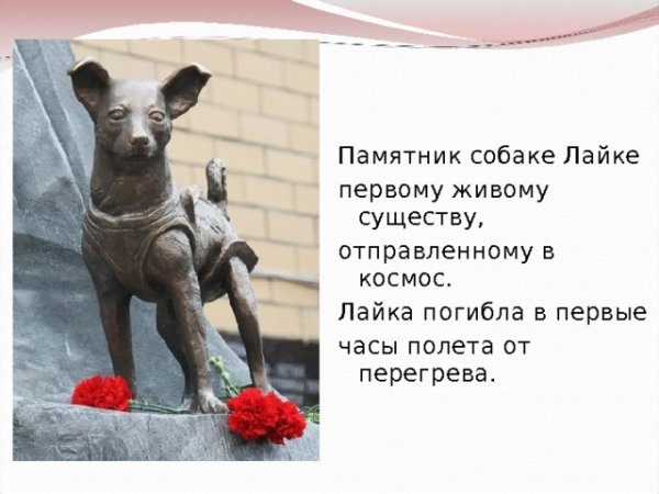 Памятник Найда Комсомольск на Амуре