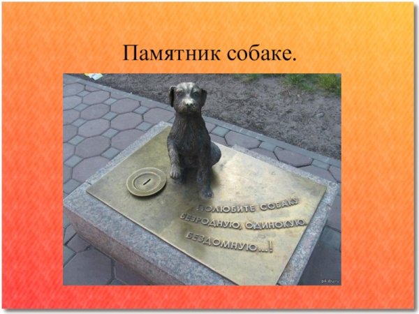 Памятник собаке Кострома окружающий мир
