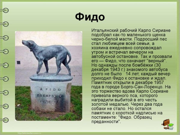 Кострома достопримечательности памятник собаке