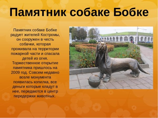 Известные памятники собакам