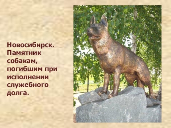Памятник собаке история