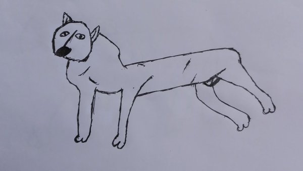 Сведения о памятниках собакам