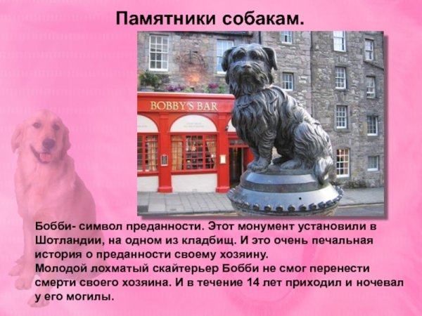 Памятник собаке