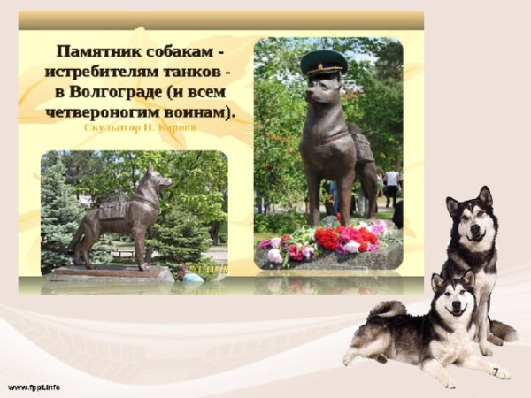 Памятник собаке