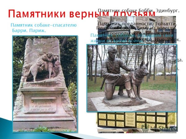 Памятники собакам спасателям в России