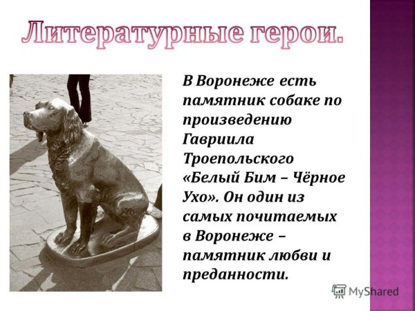 Доклад про памятник собаке