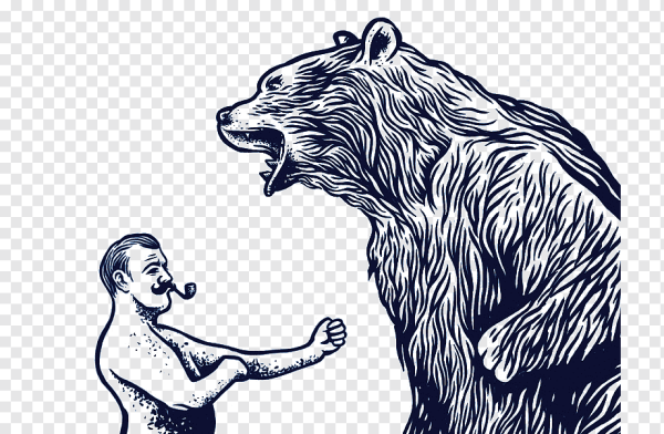 Медведь Векторная Графика