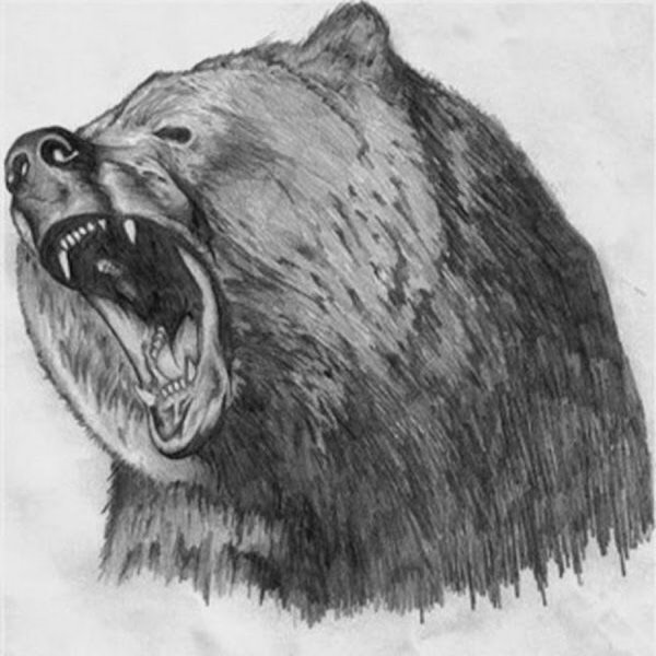 Медведь оскал сбоку