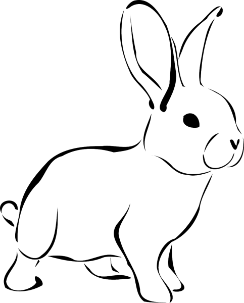 Кролик рисунок