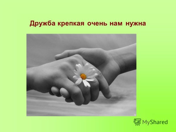 Дружба крепкая