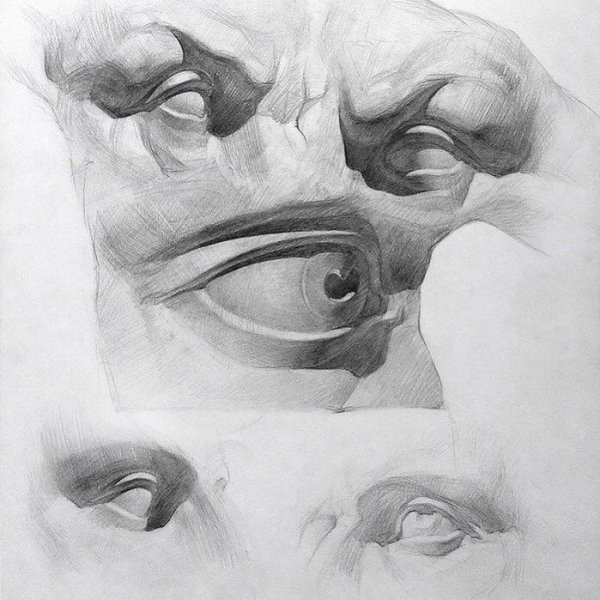 Голова Давида Экорше