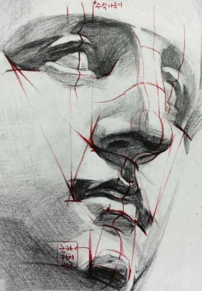 Готфрид Баммес анатомия носа