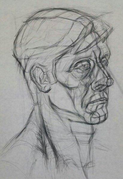 Академический портрет построение