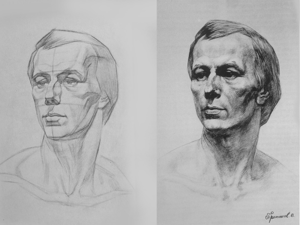 Построение головы с плечевым поясом