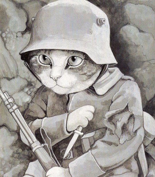 Кот в каске военной