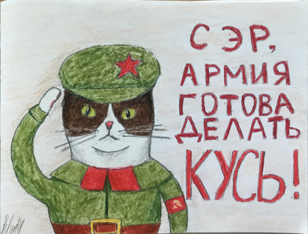 Нарисовать военного кота